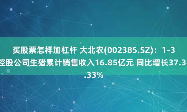 买股票怎样加杠杆 大北农(002385.SZ)：1-3月控股公司生猪累计销售收入16.85亿元 同比增长37.33%
