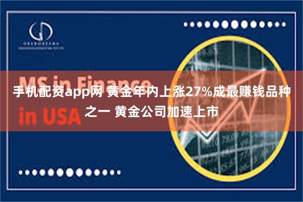 手机配资app网 黄金年内上涨27%成最赚钱品种之一 黄金公司加速上市