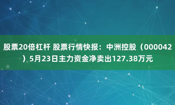 股票20倍杠杆 股票行情快报：中洲控股（000042）5月23日主力资金净卖出127.38万元