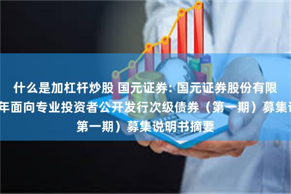 什么是加杠杆炒股 国元证券: 国元证券股份有限公司2025年面向专业投资者公开发行次级债券(第一期)募集说明书摘要