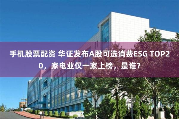手机股票配资 华证发布A股可选消费ESG TOP20，家电业仅一家上榜，是谁？