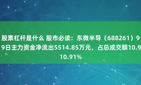 股票杠杆是什么 股市必读：东微半导（688261）9月19日主力资金净流出5514.85万元，占总成交额10.91%